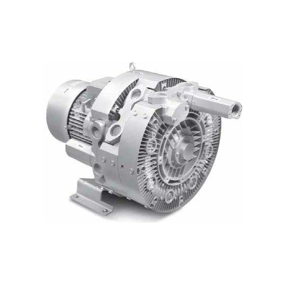 BLOWERS - Single impeller  /  Single stadium - 1phase (HP Series)